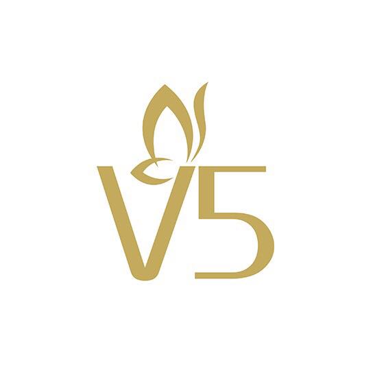 V5